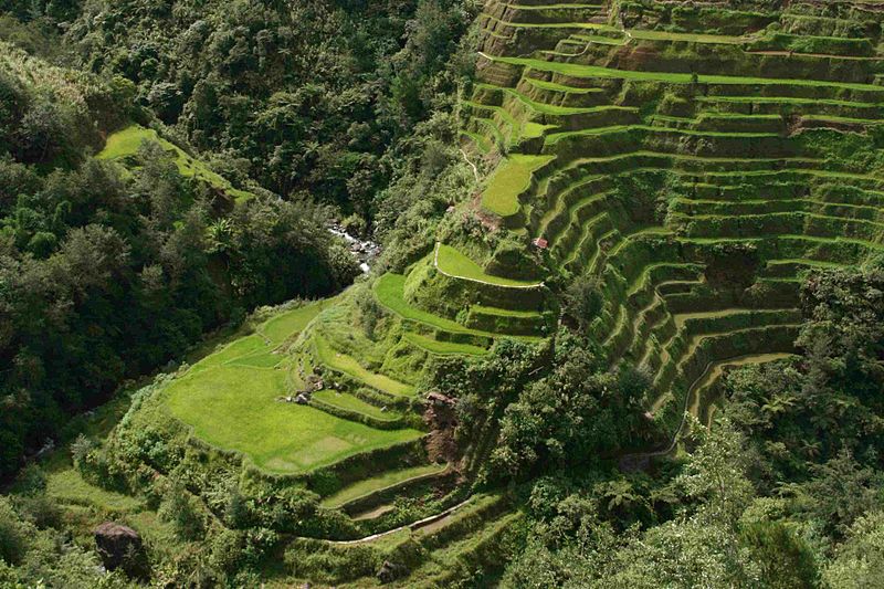フィリピン・コルディリェーラの棚田群！2,000年の歴史が創りだした文化的景観！